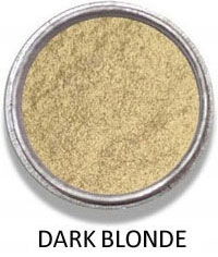 Dermax Hair Fibers (28g)