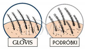 Przyczepność Glovis