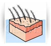 /wysoka-jakość-mikrowlokien